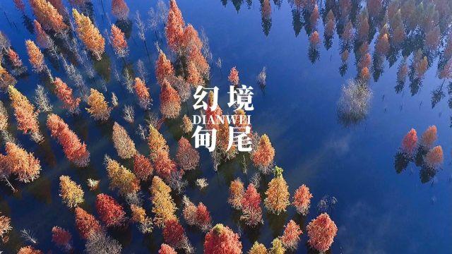救援活泼小男孩
