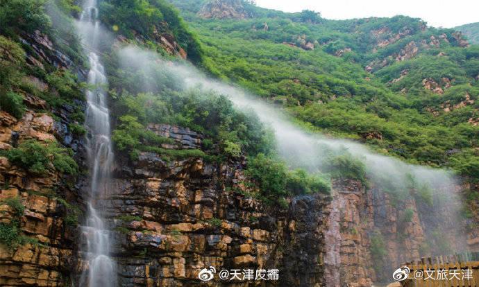 跳动的圆球