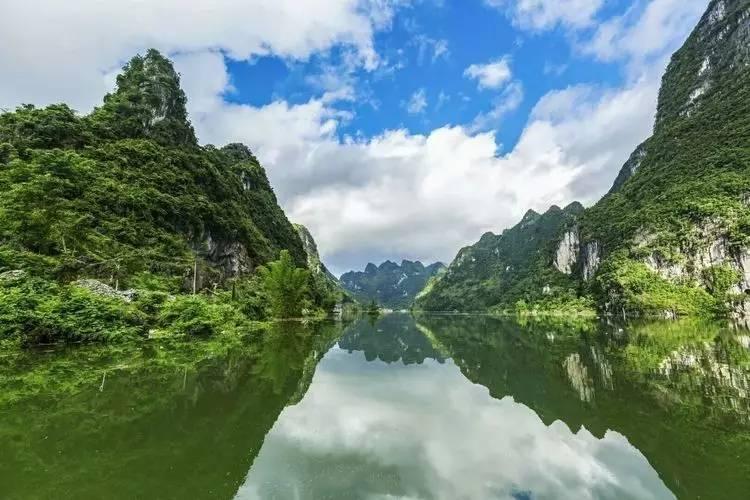 救援淘气的小狗